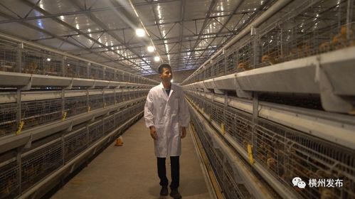 陶圩鎮 結合茉莉產業 打造本地品牌